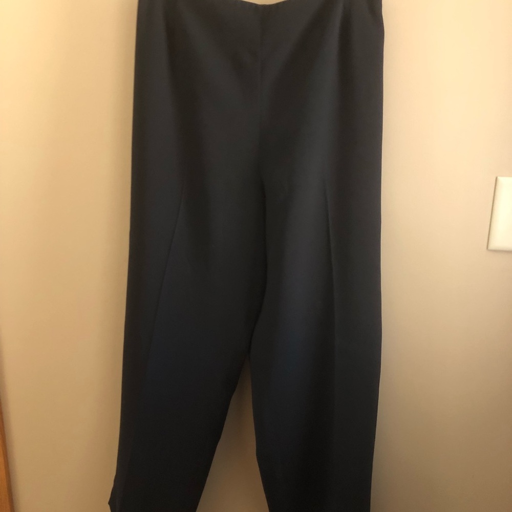 Dress Barn, Suit pants, 18W